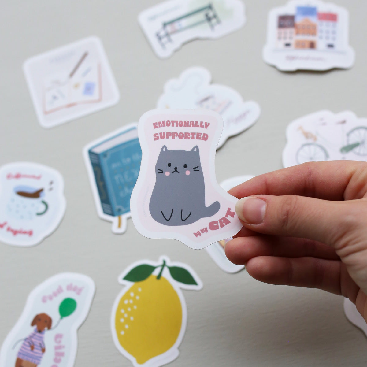 Hand holding a sticker with a cat and text, surrounded by other stickers on a light background