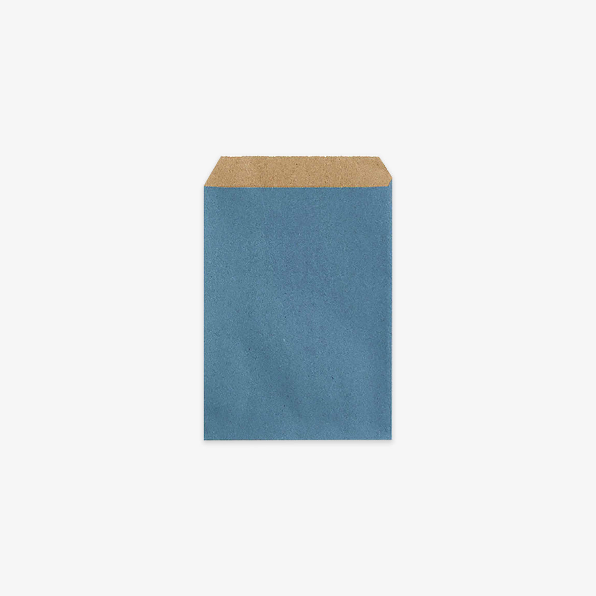 DUST BLUE PAPER GIFT BAG // M