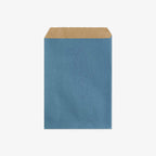 DUST BLUE PAPER GIFT BAG // L
