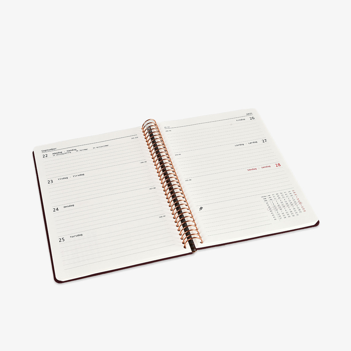 files/Kozo_Kalender2026_A5_AloeVera_02.jpg