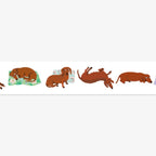 MT MASKING TAPE // SAUSAGE DOG