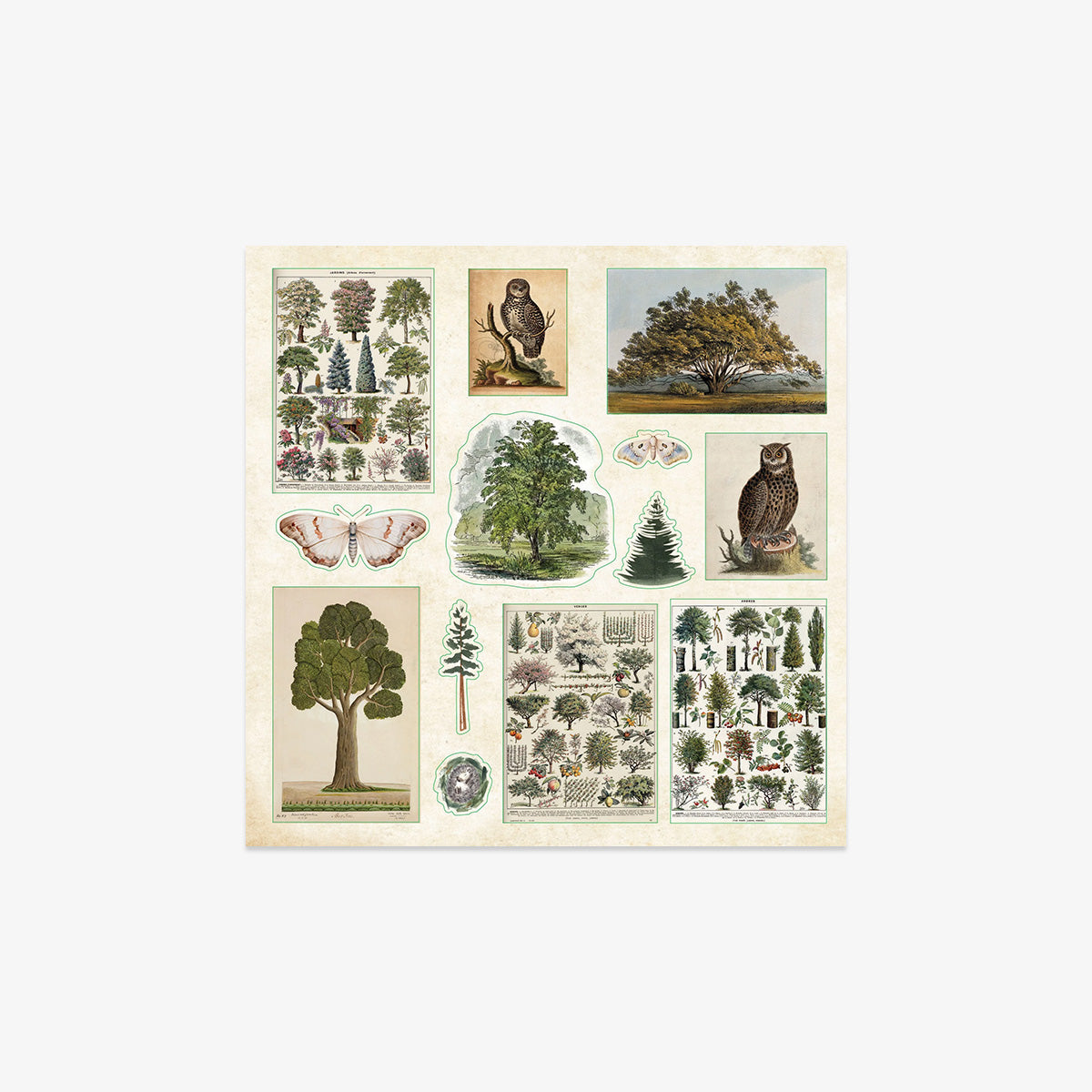 STICKER BOOK // ENCHANTED FOREST