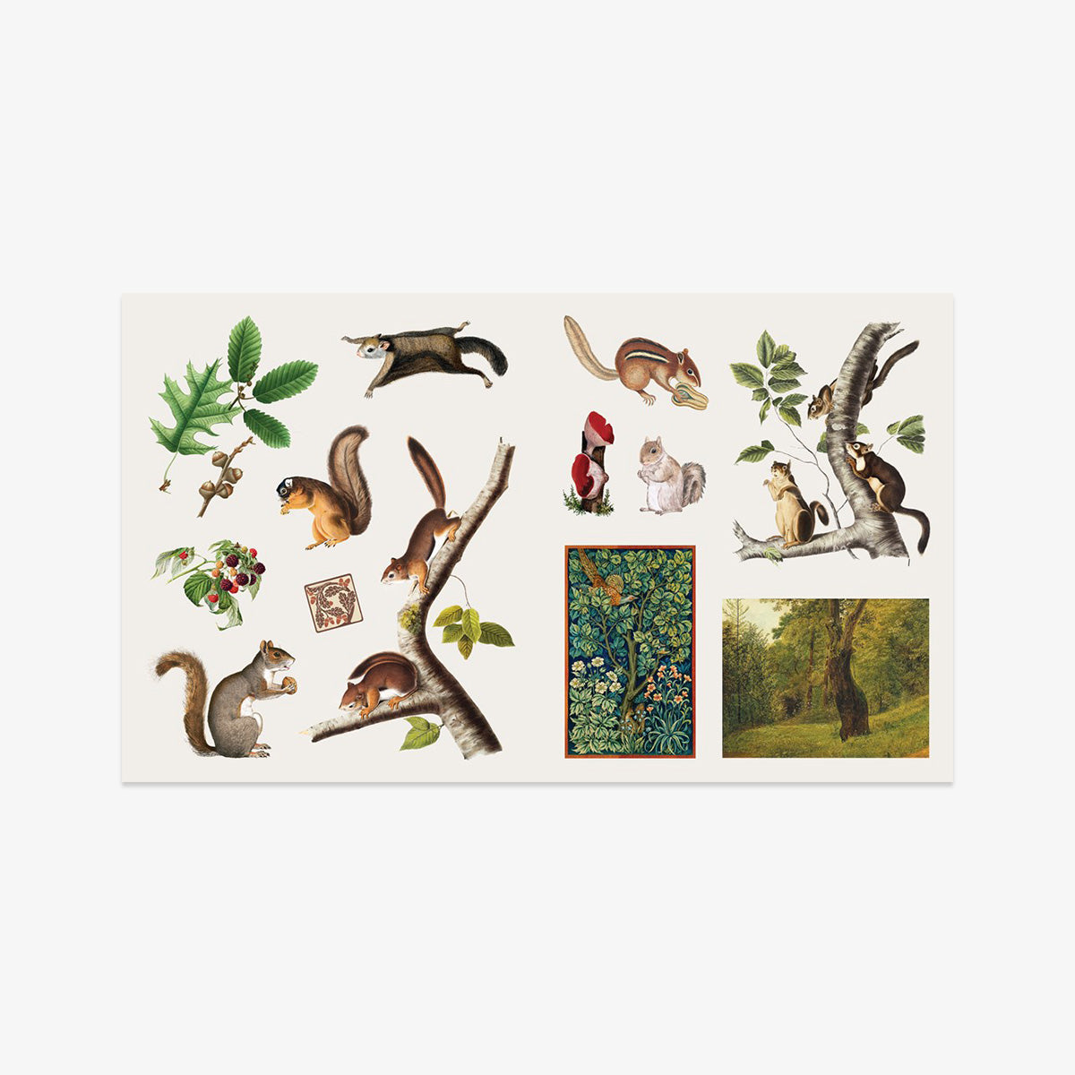 files/Stickerbook_WoodlandAdventures_02.jpg