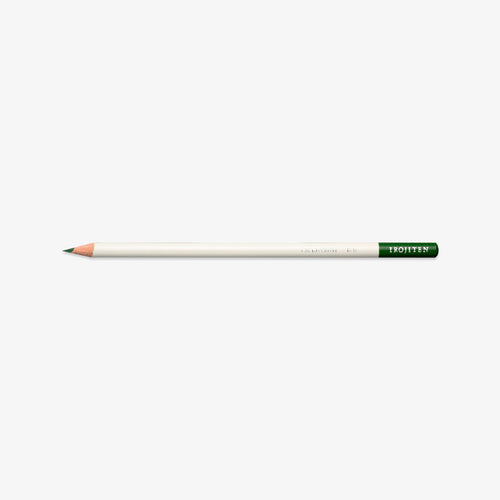 White pencil with cactus green tip on a white background
