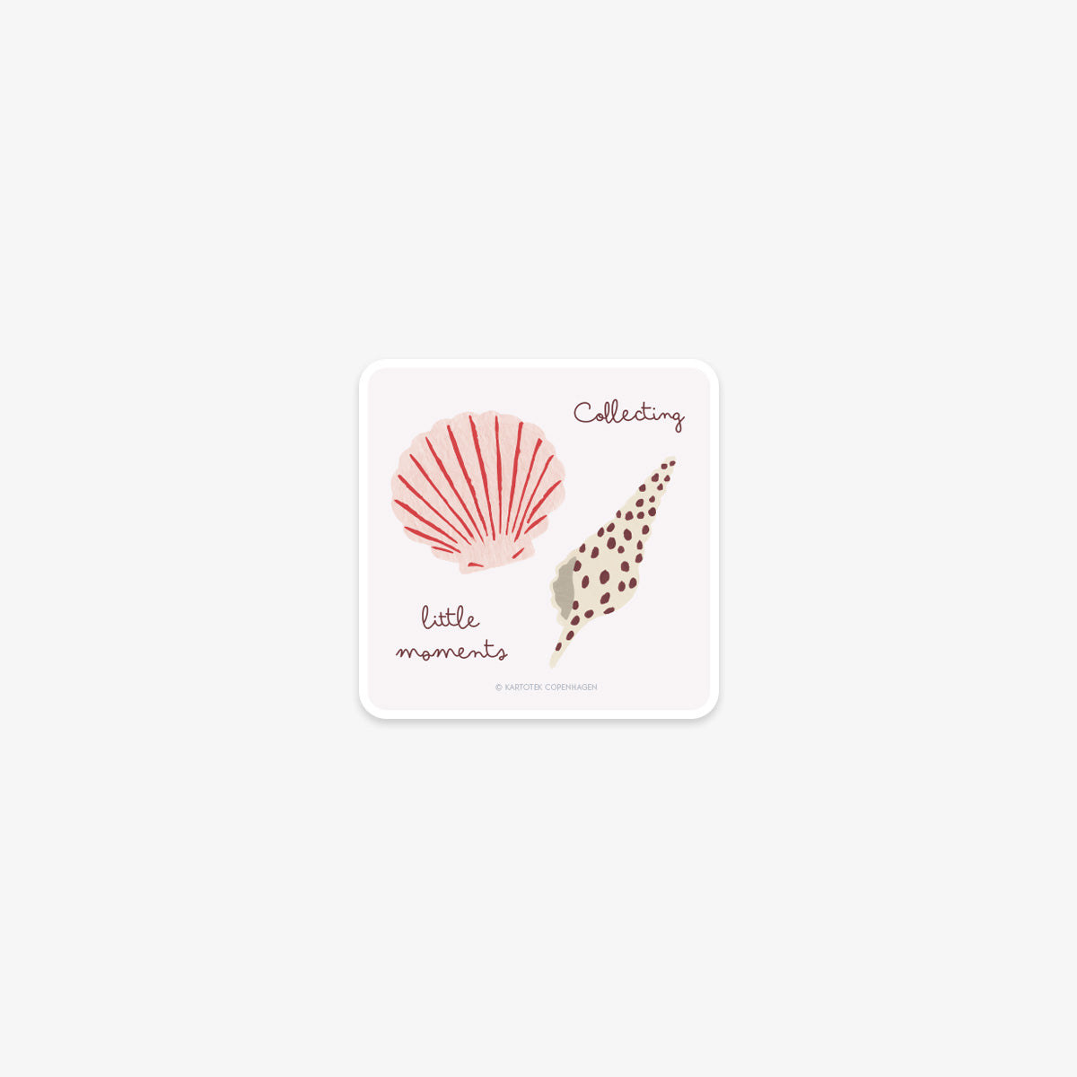 VINYL STICKER // SEASHELLS