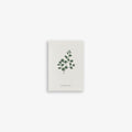 SMALL GREETING CARD // FERN