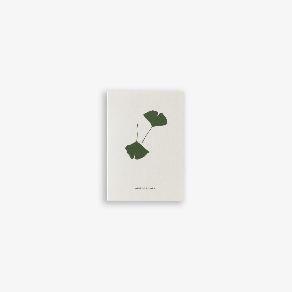 SMALL GREETING CARD // GINKGO